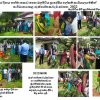 පරිසර දිනය - 2022